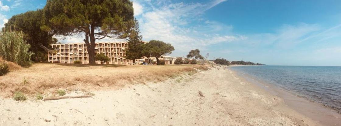 Studio Bord De Mer - Piscine - Plage San Nicolao Bagian luar foto